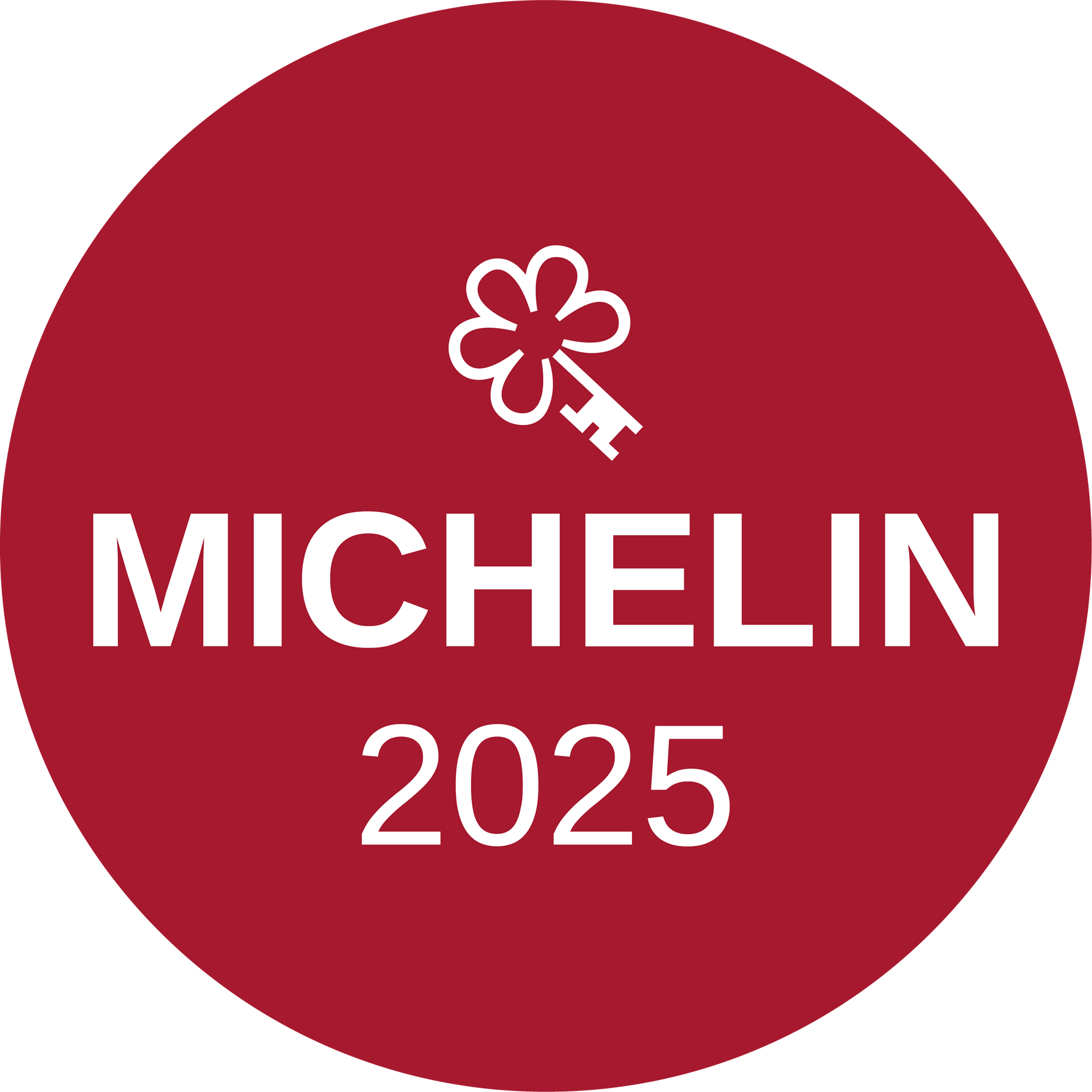 MICHELIN One-key