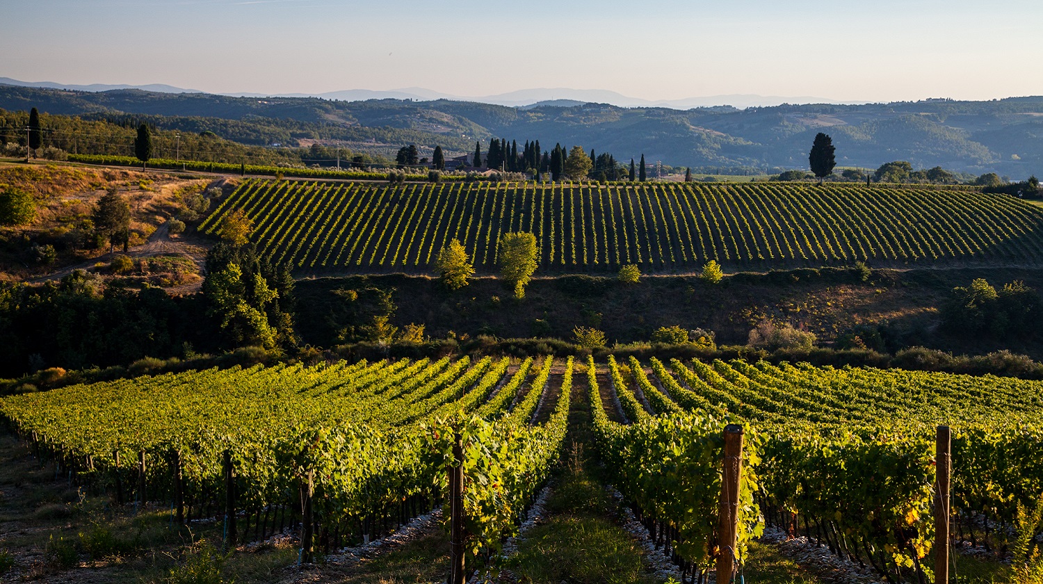Niccolo Lecture: Bordeaux &amp; Tuscany Reimagined – A Wine Journey with Certa
